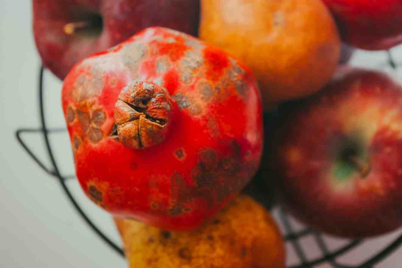 Safe Food Guide Food Safety Basics & Healthy Food Selection